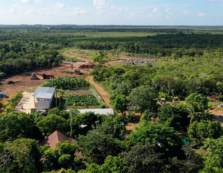 a landscape with trees and buildings