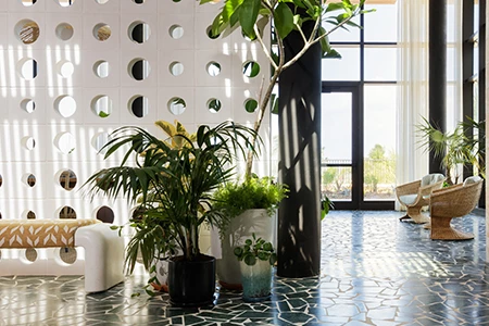 a room with plants in pots