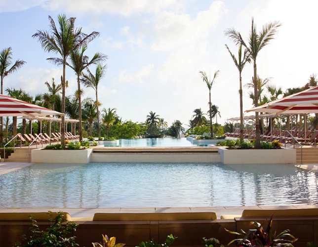 a pool with palm trees and chairs