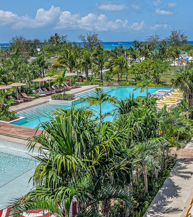a pool with palm trees and chairs