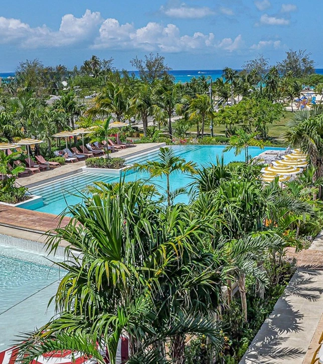 a pool with palm trees and chairs