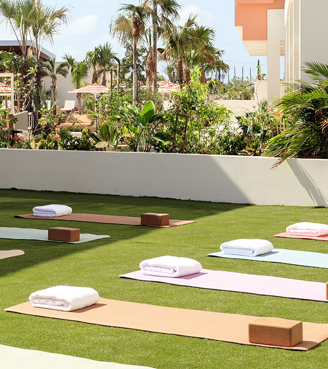 yoga mats on a green lawn