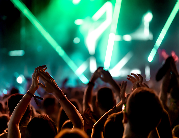 a crowd of people at a concert