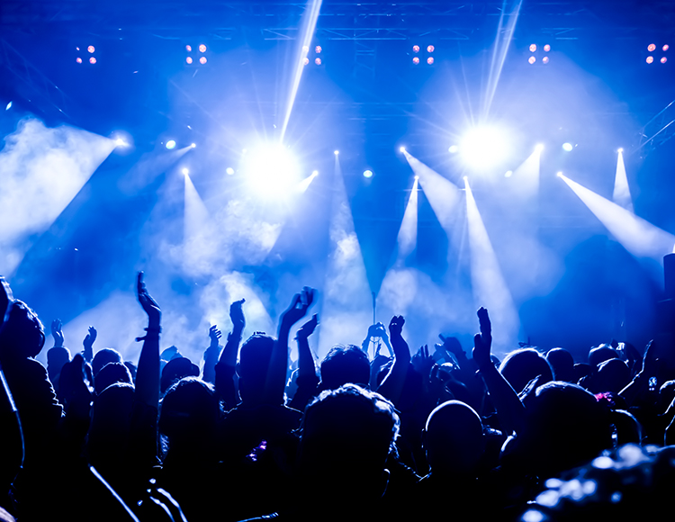 a crowd of people at a concert