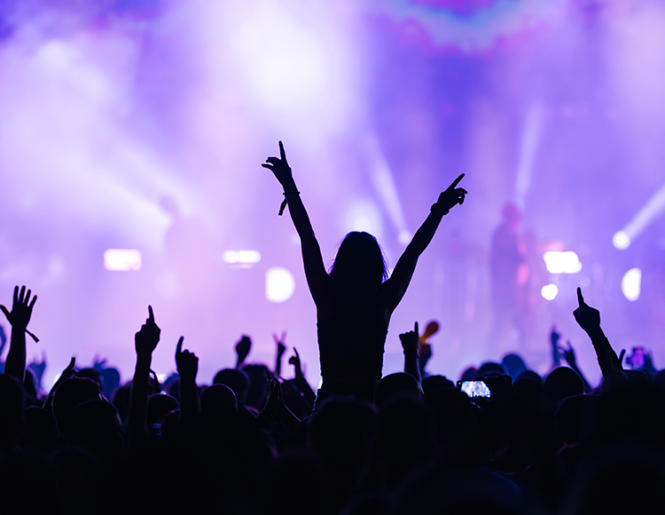 a crowd of people at a concert