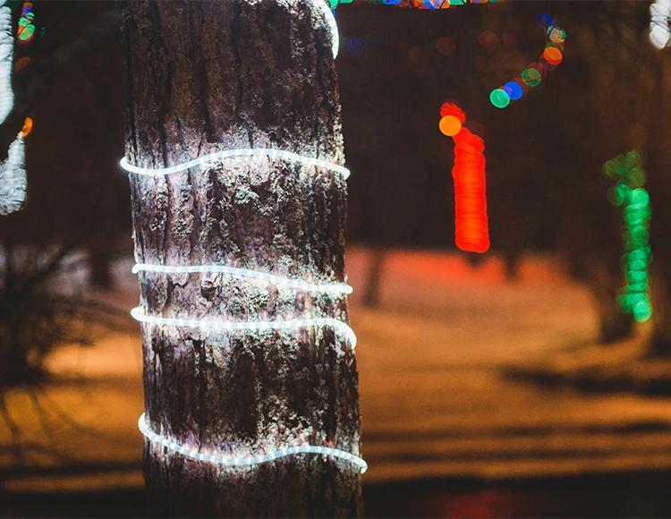 a tree with white lights wrapped around it