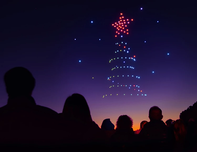 a group of people watching a christmas tree