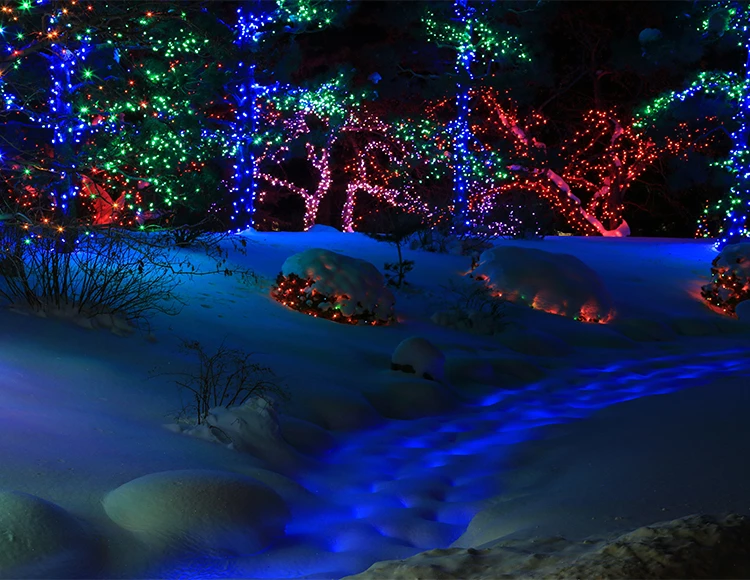 a snow covered ground with colorful lights