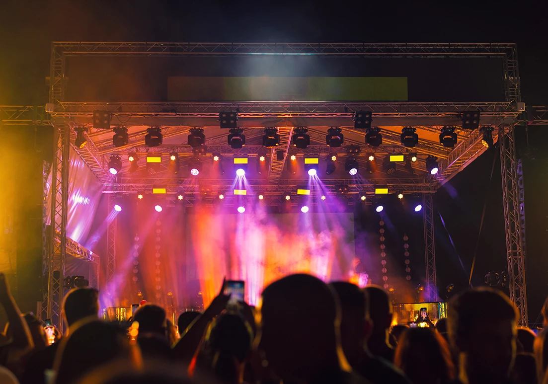 a crowd of people at a concert