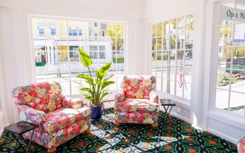 a room with chairs and a plant