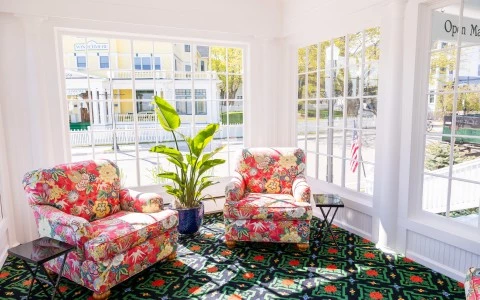a room with chairs and a plant