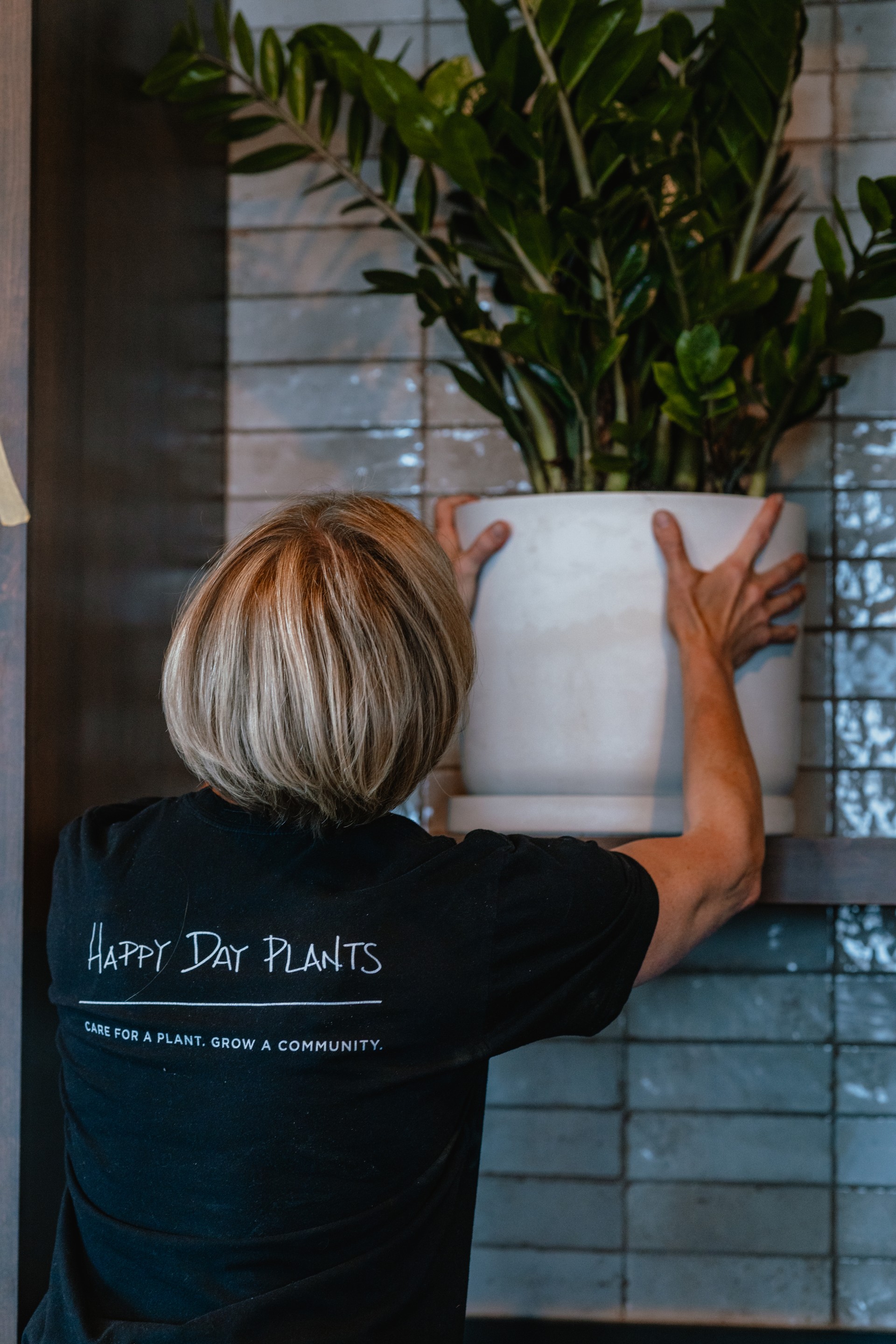 a woman holding a plant in a pot
