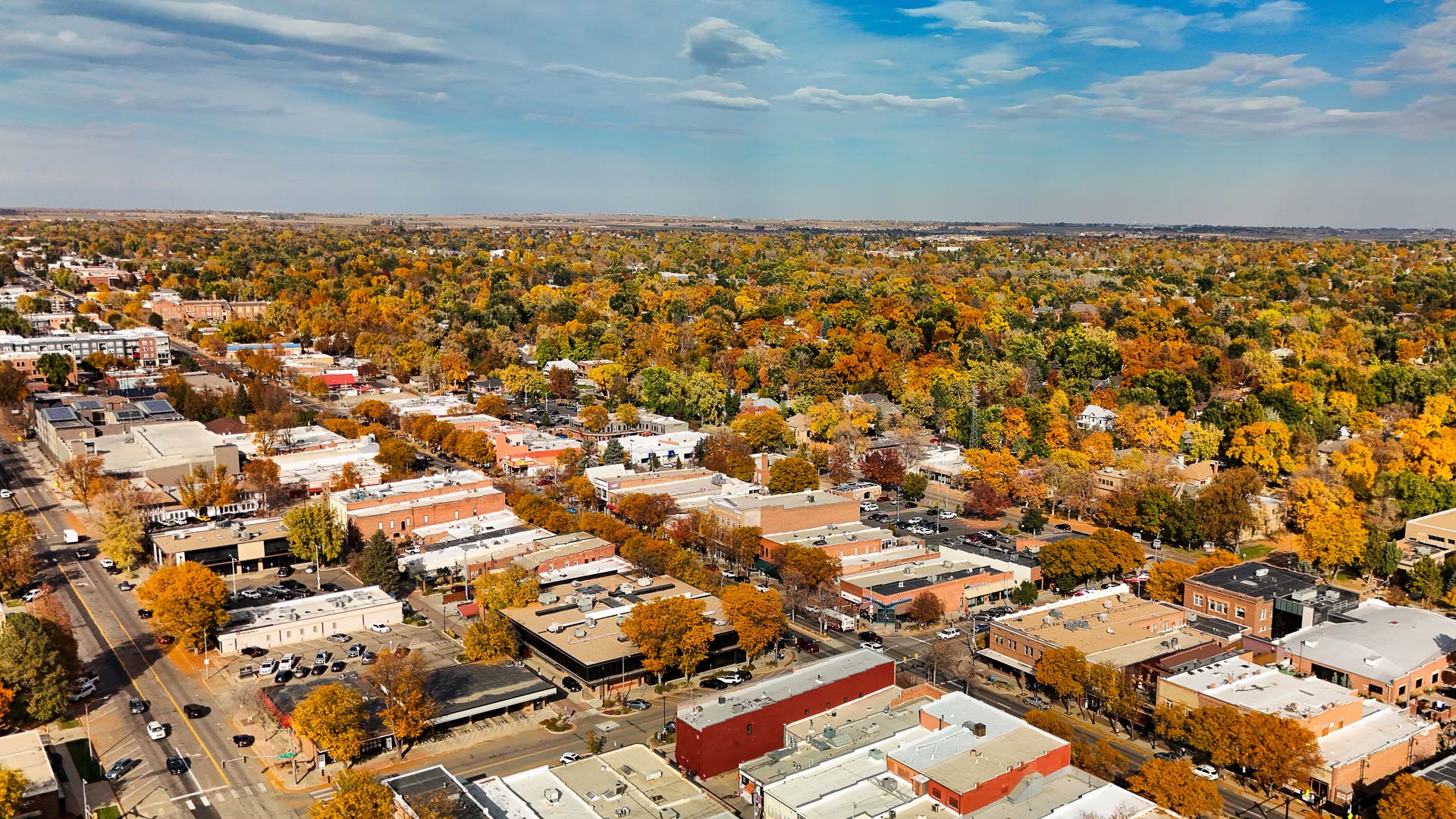 an aerial view of a city with trees