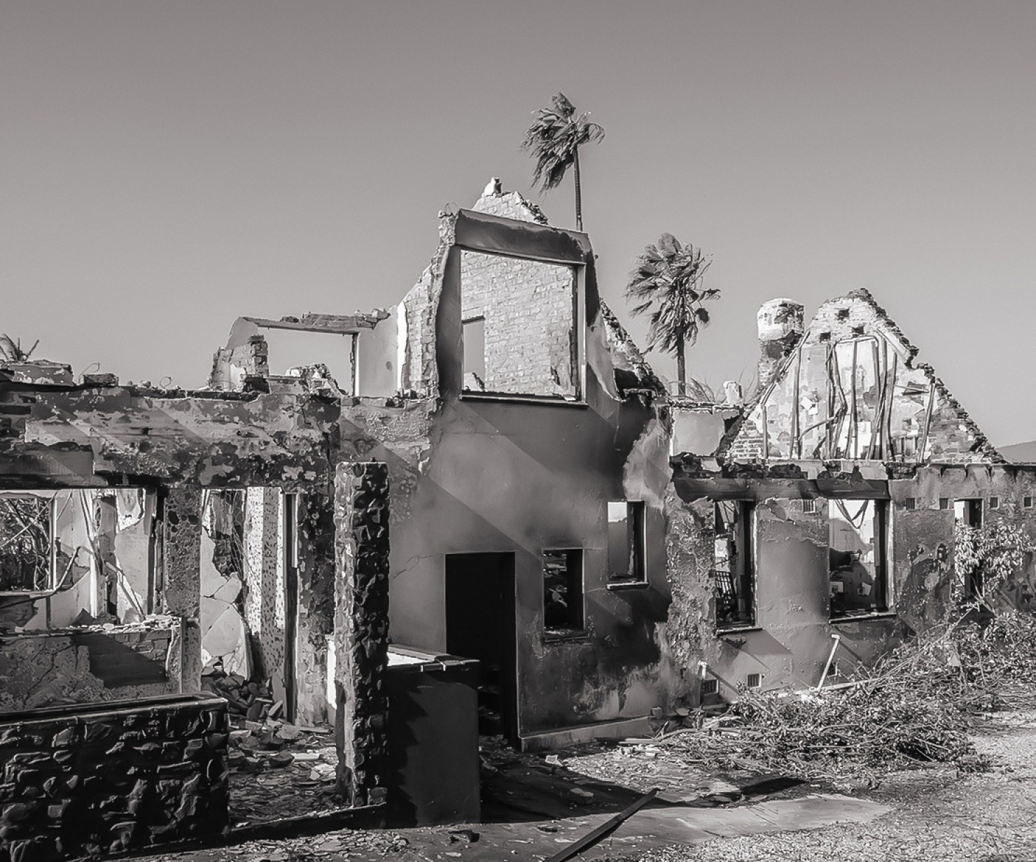 a burned down house with a palm tree