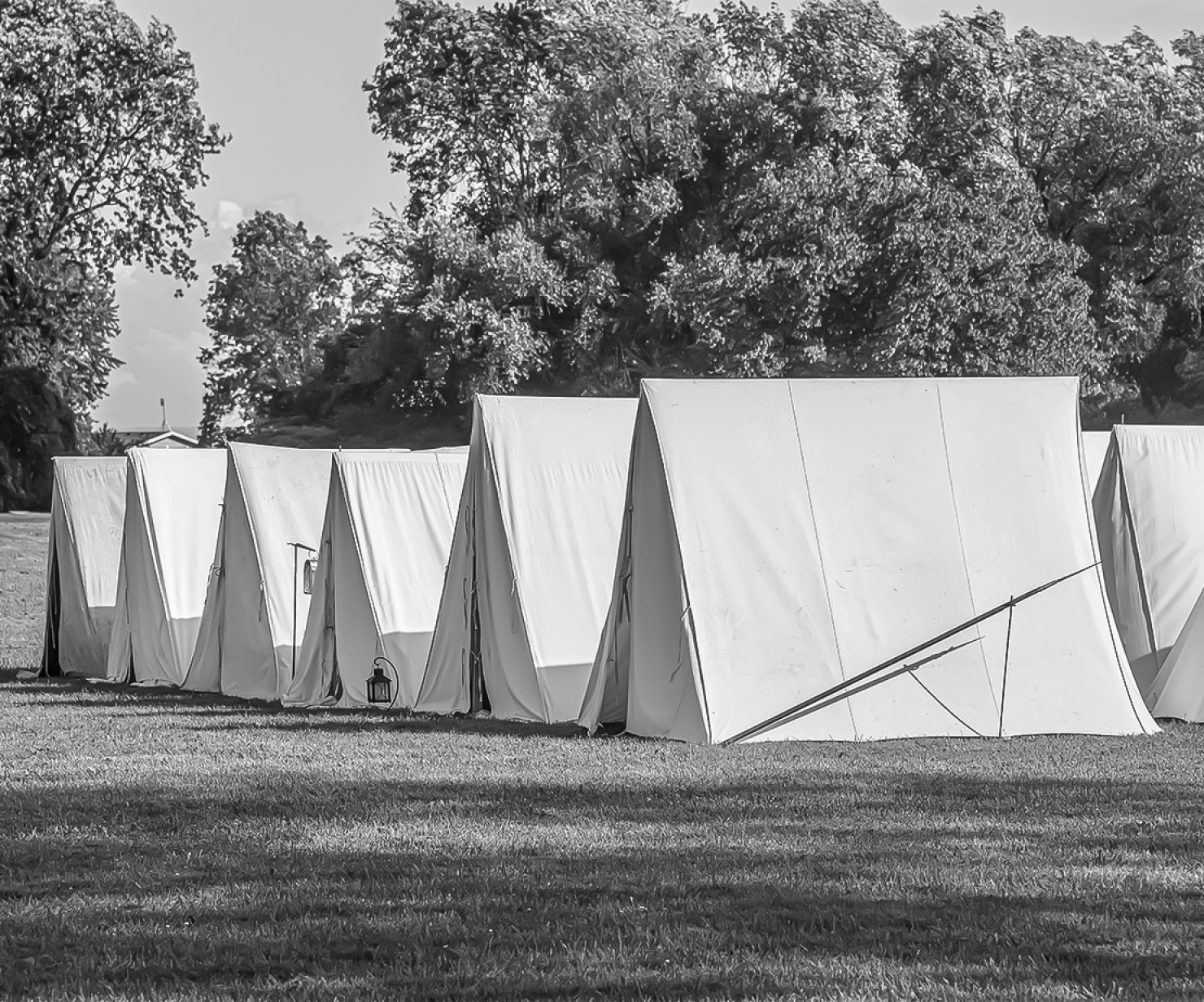 a row of white tents