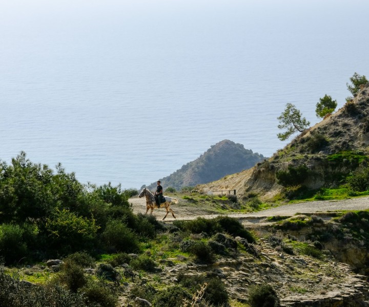 a person riding a horse on a hill