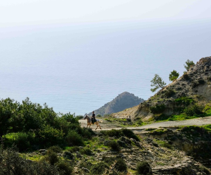 a person riding a horse on a hill