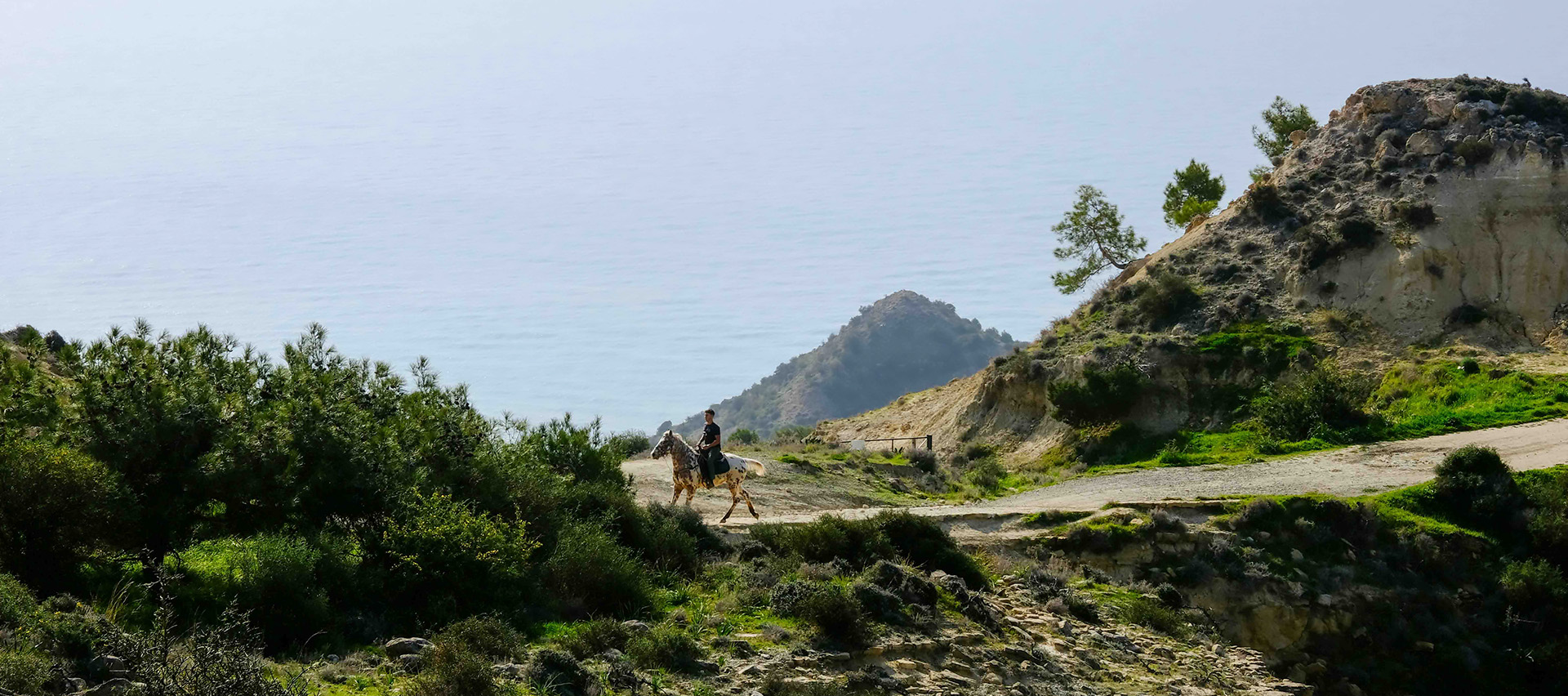 a person riding a horse on a dirt road