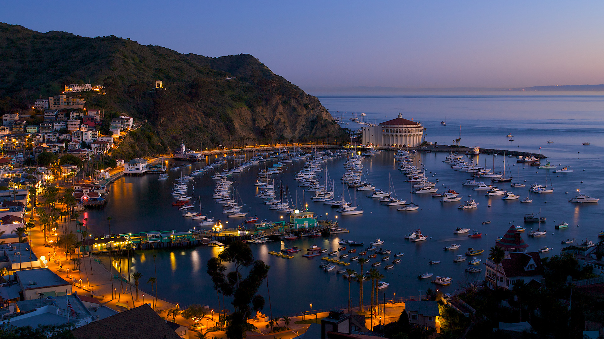 a harbor with many boats and buildings in the background