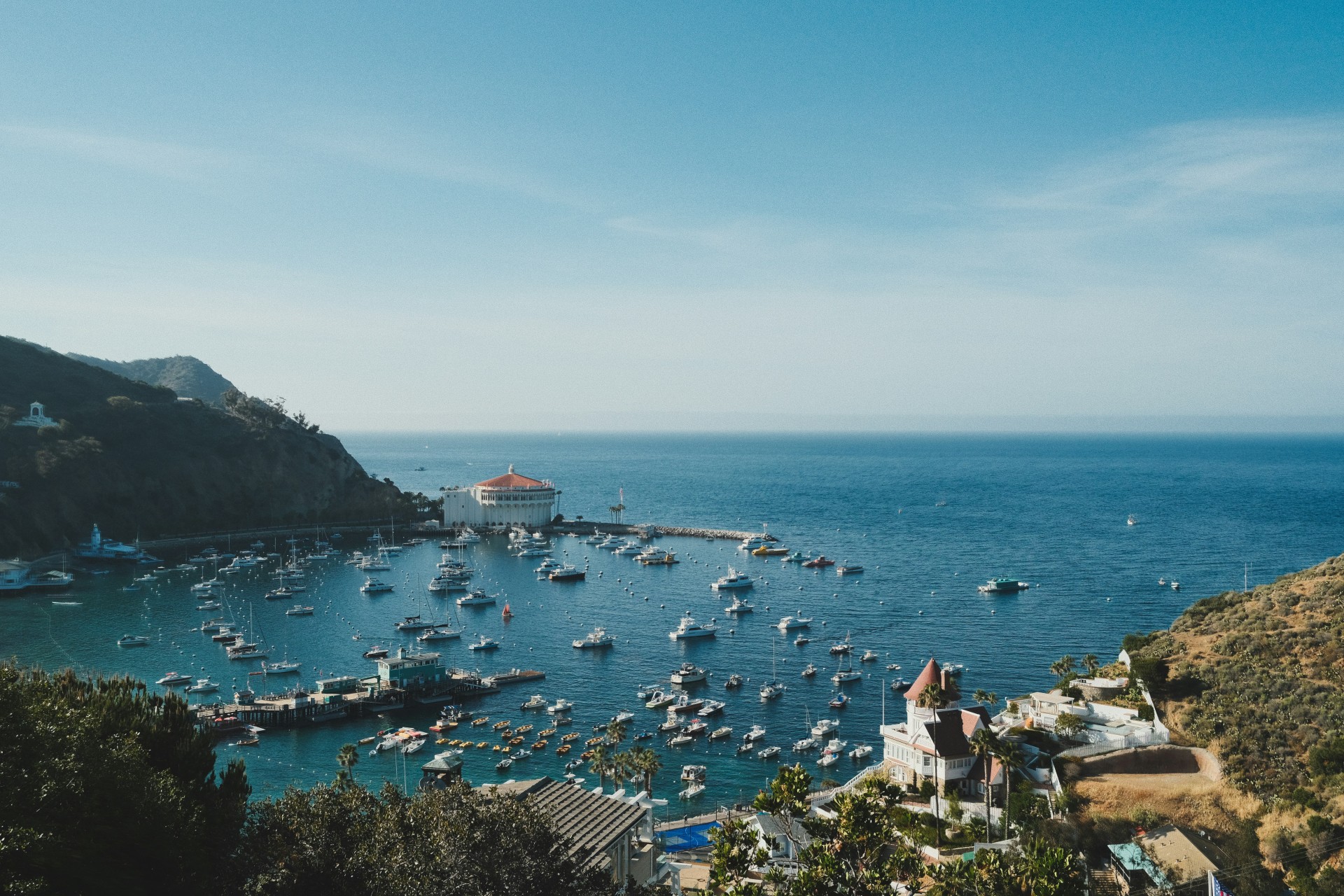 a harbor with boats and buildings in the background
