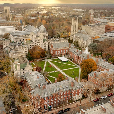 a city with a park and buildings