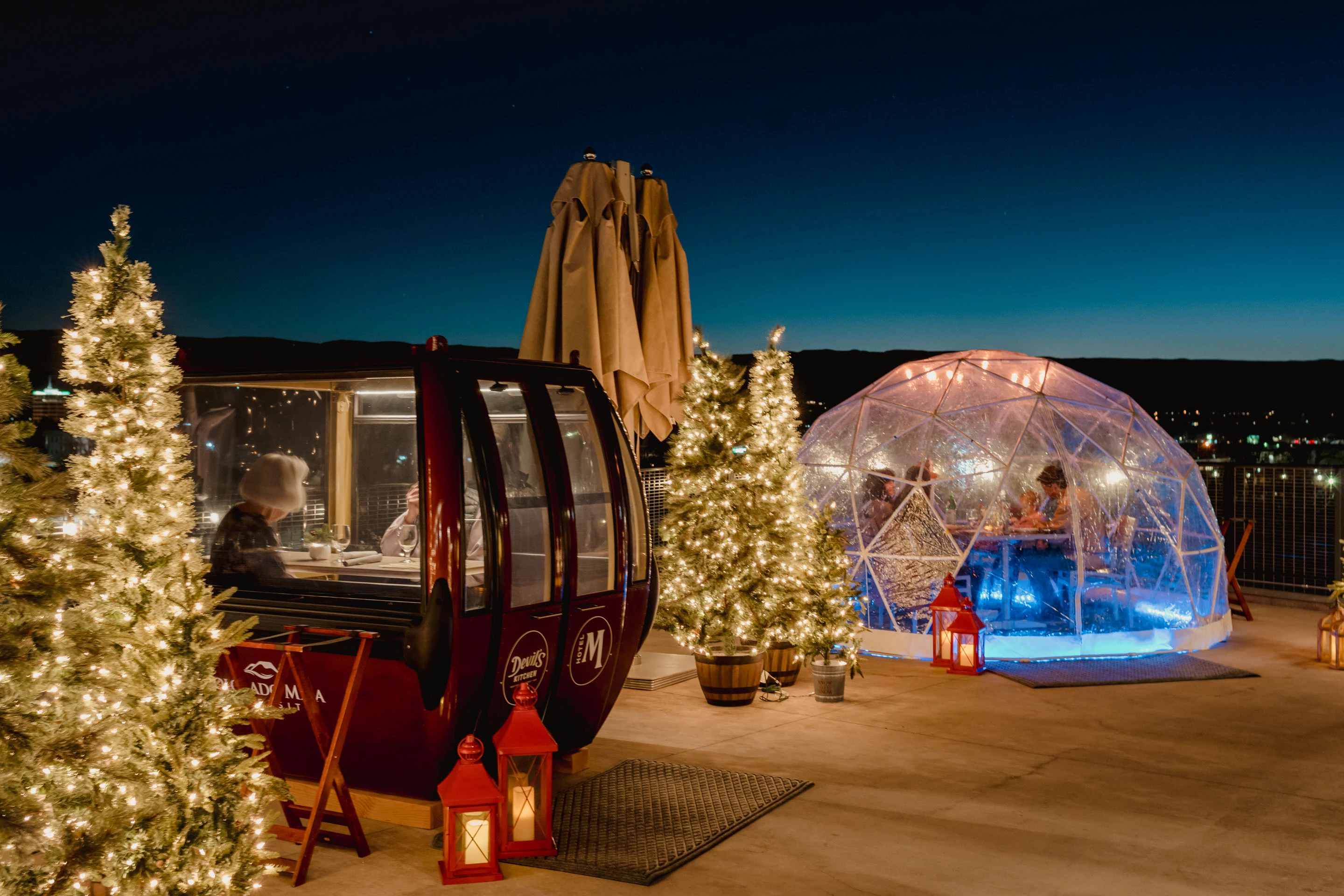 a group of people in a glass dome with lights and trees