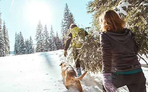 two people hiking in snow with a dog