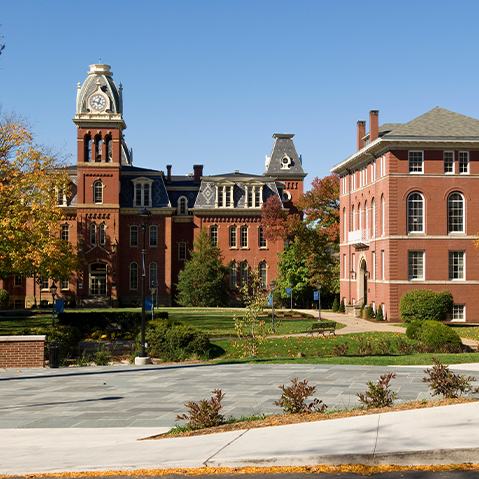west virginia university