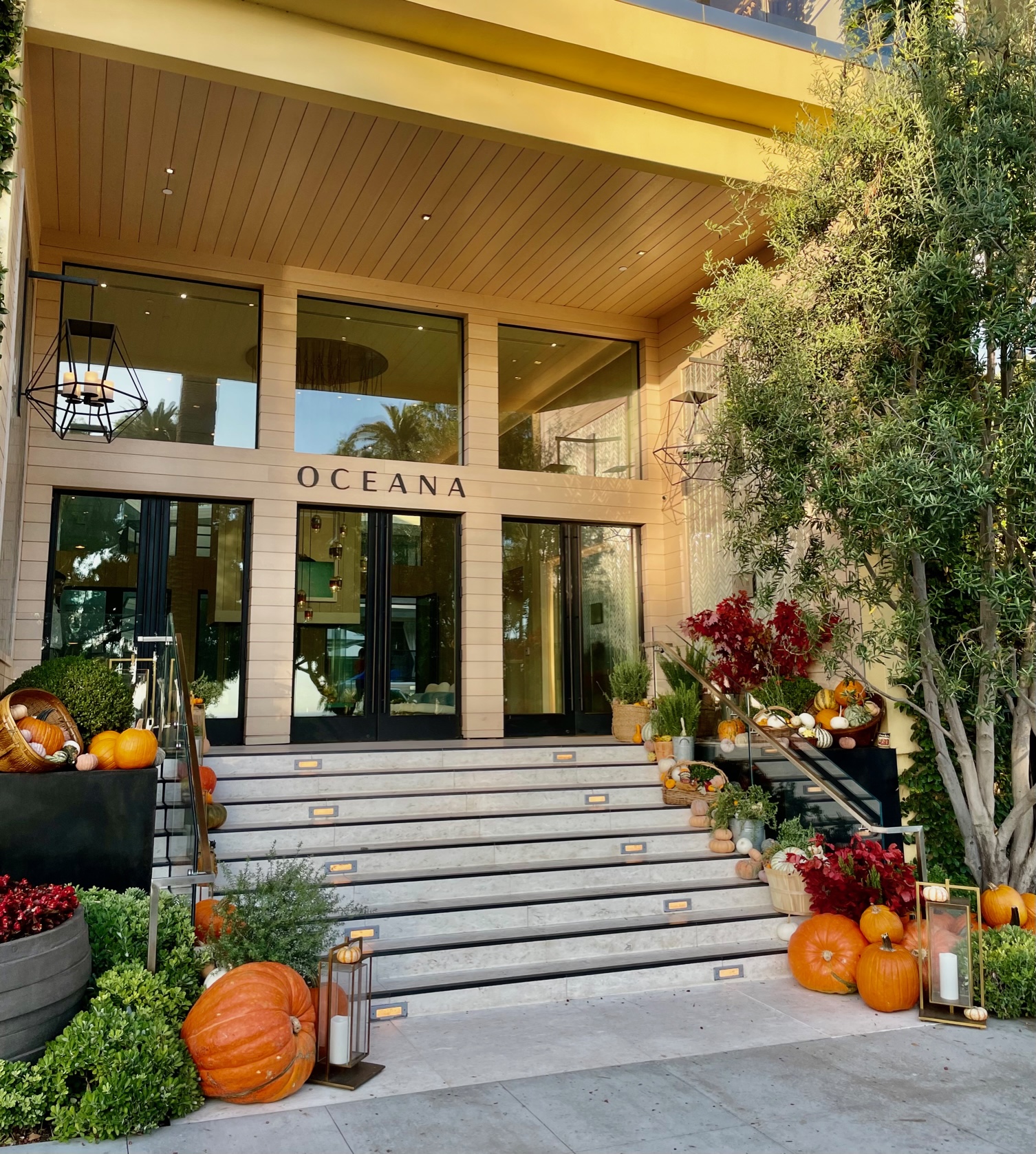 a house with pumpkins and plants