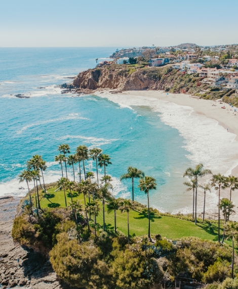 a beach with palm trees and a body of water