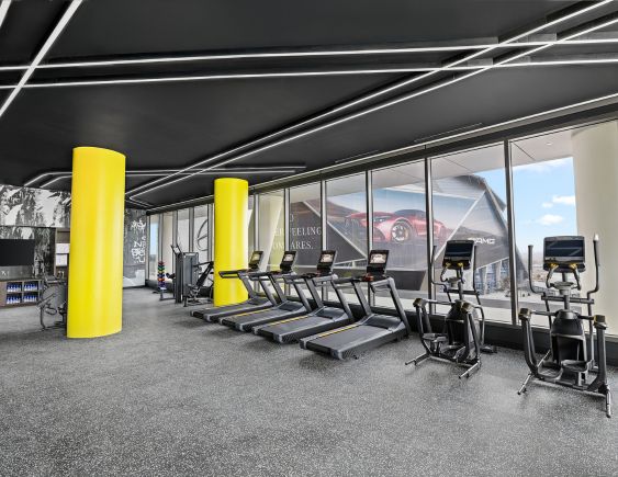 a gym with treadmills and exercise equipment