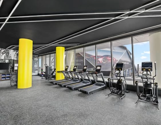 a gym with treadmills and exercise equipment