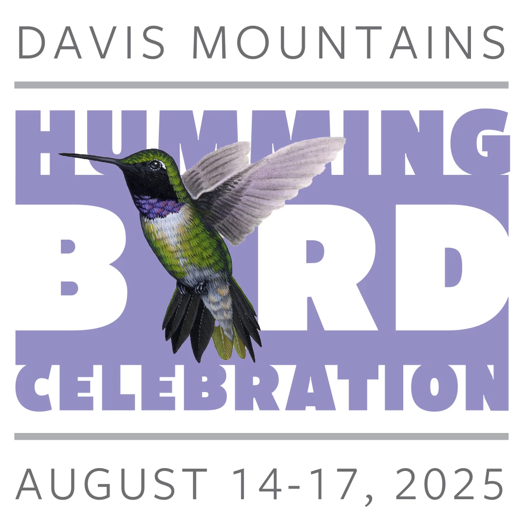 a hummingbird with wings and text