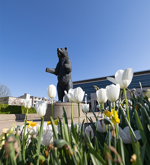 a statue of a bear in front of a building