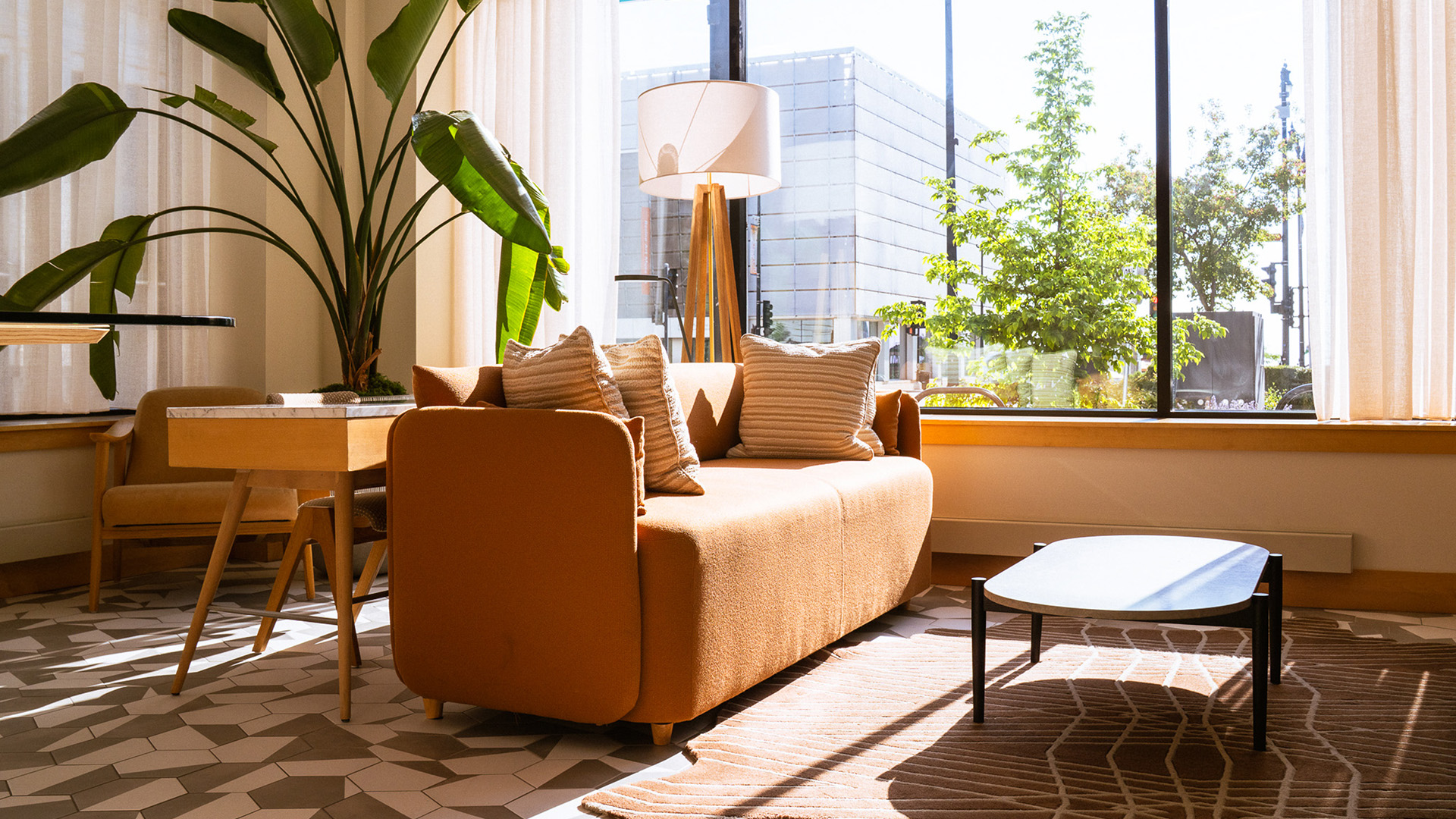 a couch in a room with a lamp and a plant