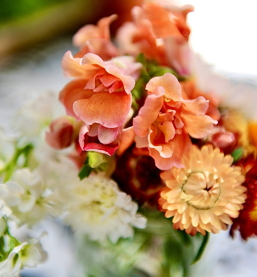 a close up of flowers