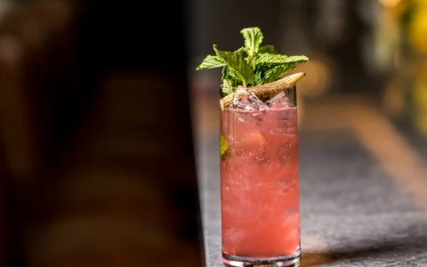 a glass of pink drink with mint leaves