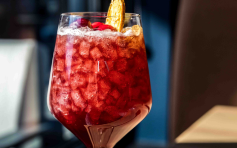 a glass of red liquid with ice and fruit