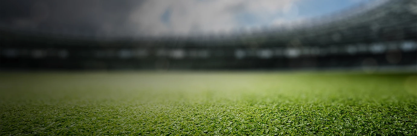 a close up of a grass field