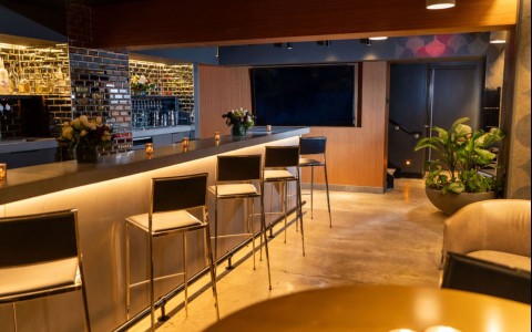 a bar with chairs and a plant in a pot