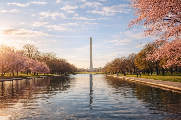 Calm spring weather in Washington DC at the National Mall representing the lamb-like end of March