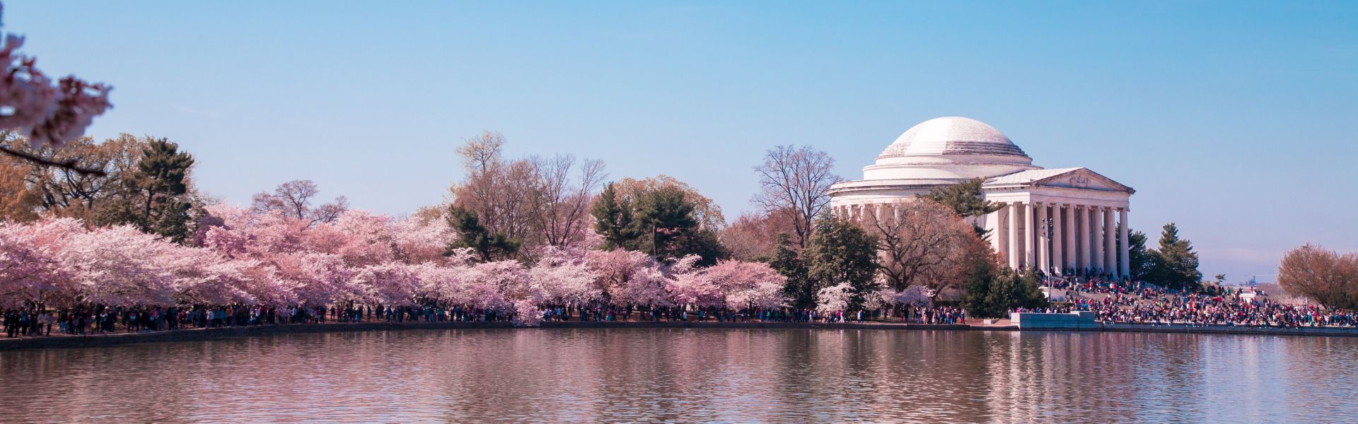 a body of water with trees and a building in the background