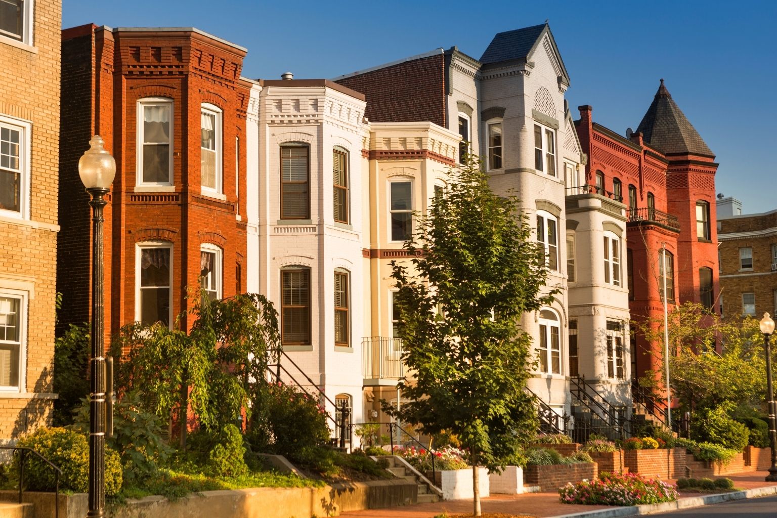 row houses with trees and bushes