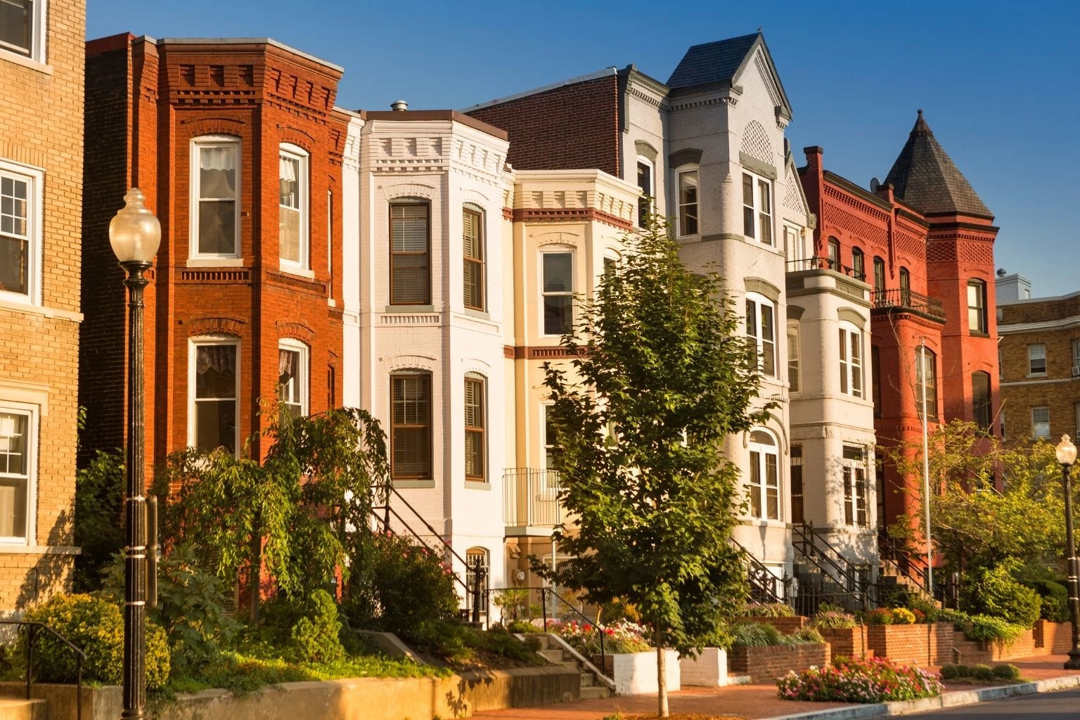 row houses with trees and bushes