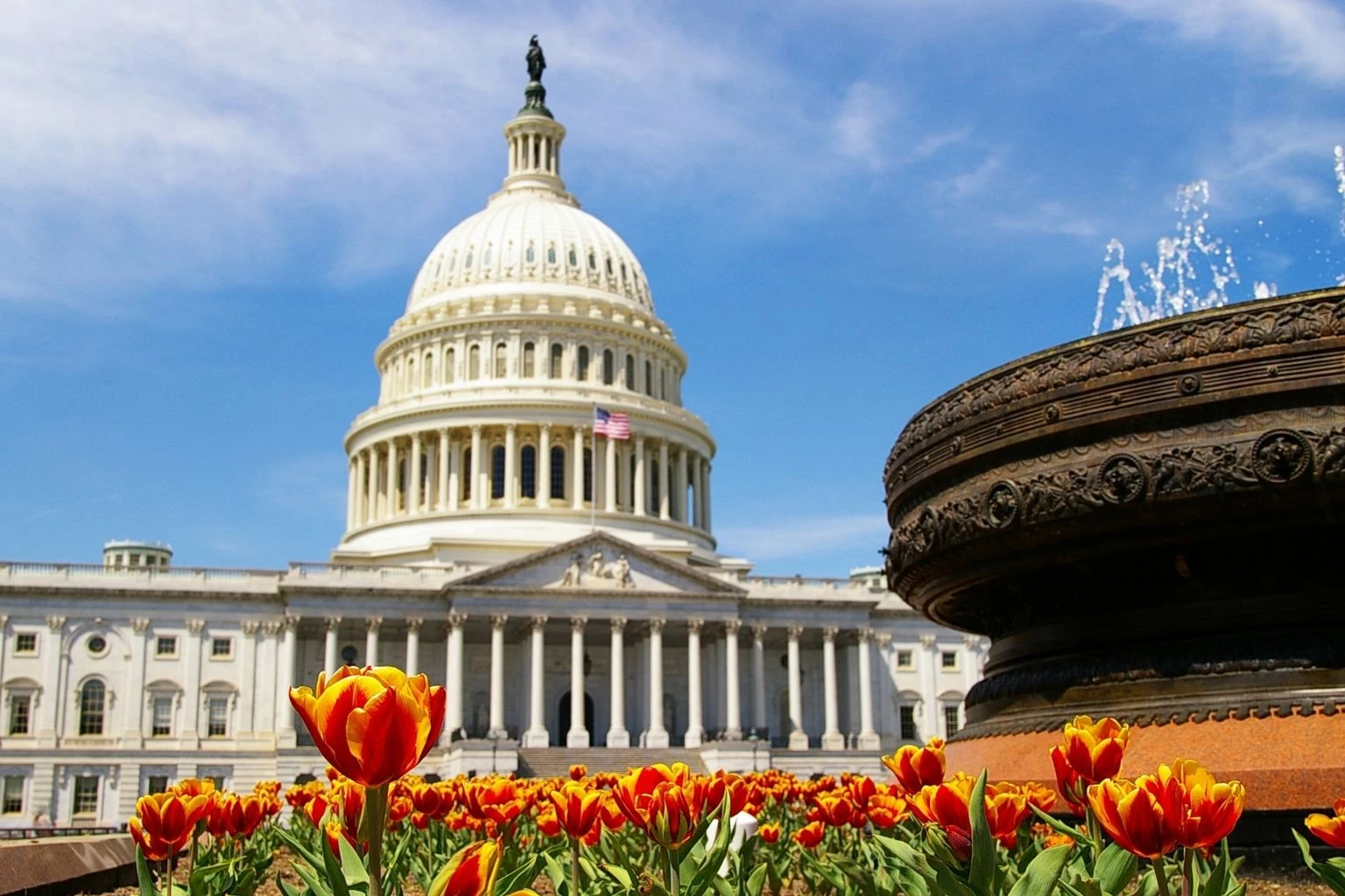 a large white building with a large dome and a fountain with United States Capitol in the background