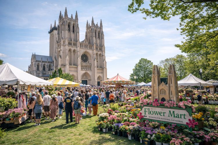 Visitors shopping for flowers and plants at the Flower Mart at Washington National Cathedral during Passport DC
