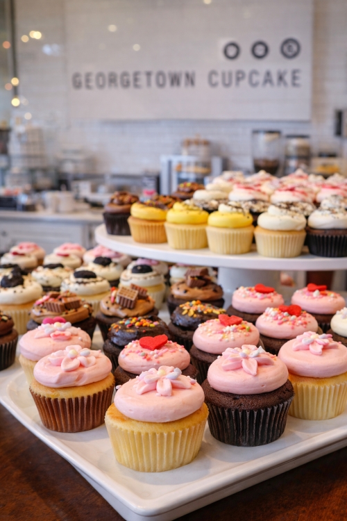 georgetown cupcakes display famous dessert washington dc bakery