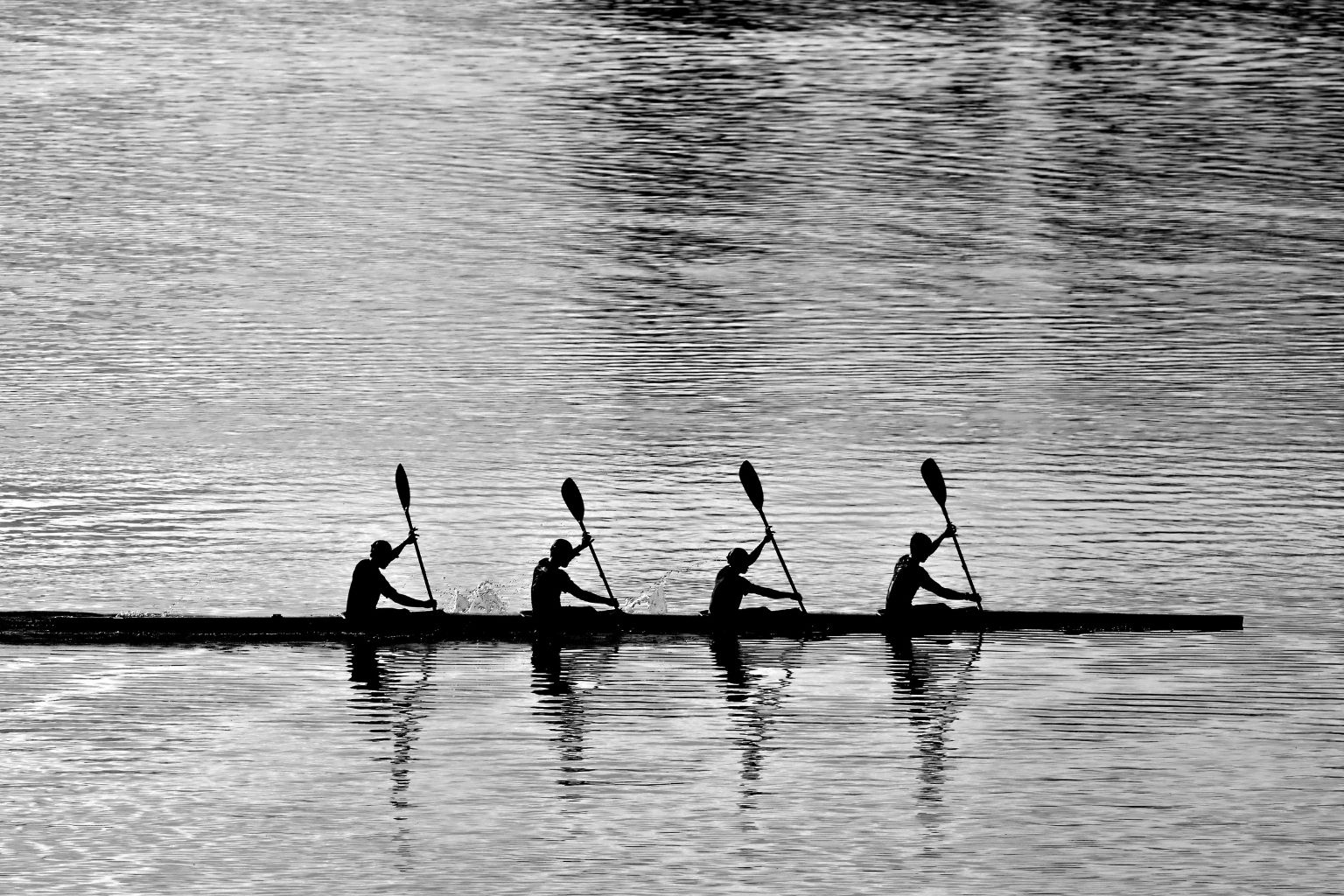 a group of people rowing a boat