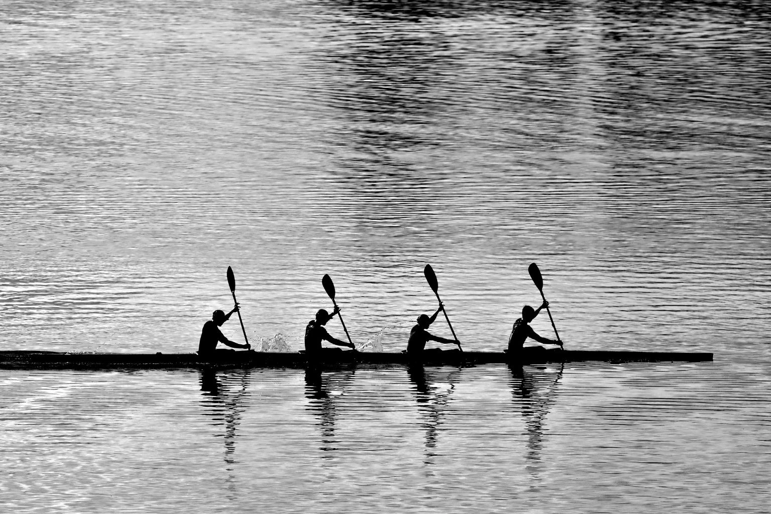 a group of people rowing a boat