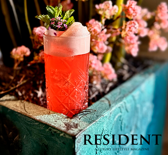 a glass of red liquid with ice and mint leaves
